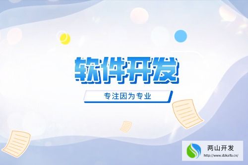 四川軟件開發流程有哪些(圖2)