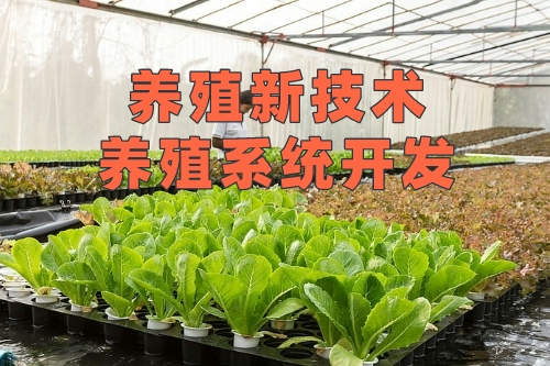 養(yǎng)殖新技術-養(yǎng)殖系統(tǒng)開發(fā)(圖2)
