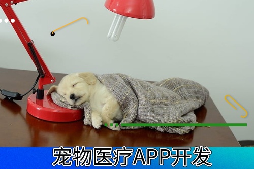 德州寵物醫療APP開發有什么功能模塊