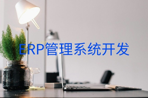 德州erp管理系統開發(圖1)