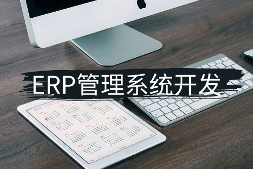 德州erp管理系統開發(圖2)