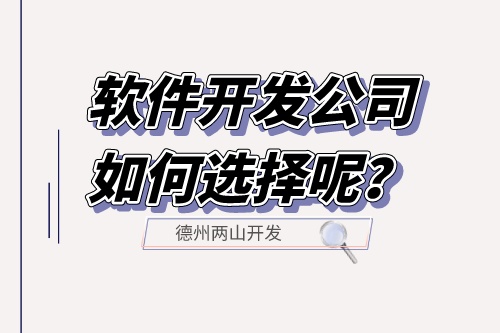 軟件開發(fā)公司如何選擇呢？(圖1)