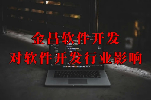 金昌軟件開發對軟件開發行業的影響及發展趨勢