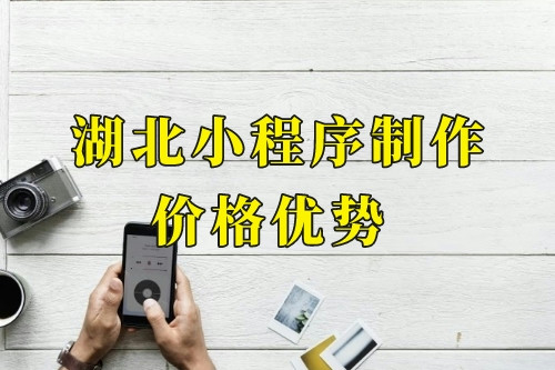 湖北小程序制作價格優勢(圖1)