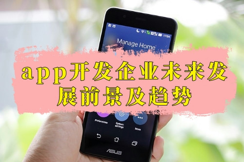 app開發(fā)企業(yè)未來發(fā)展前景及趨勢