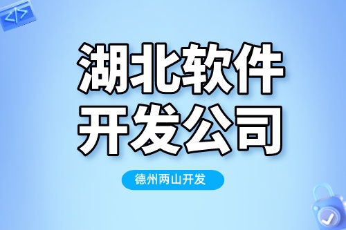 選擇湖北軟件開發公司，需要考慮哪些因素